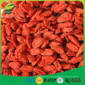 Bayas de goji en granel de China bayas de goji al por mayor